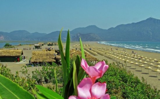 Iztuzu beach in Dalyan