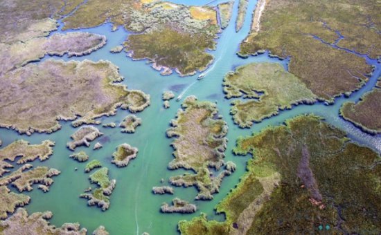 Dalyan boat tour
